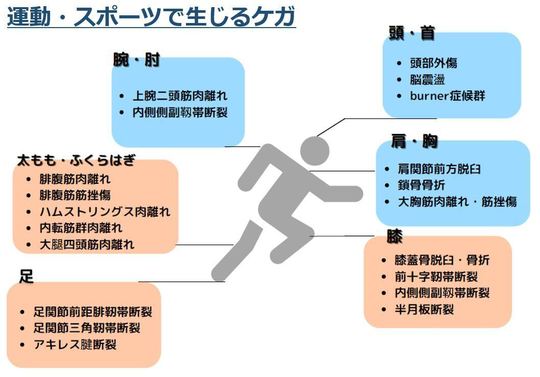 スポーツ整形外科 - 岡崎市六名の天野整形外科クリニック｜スポーツ